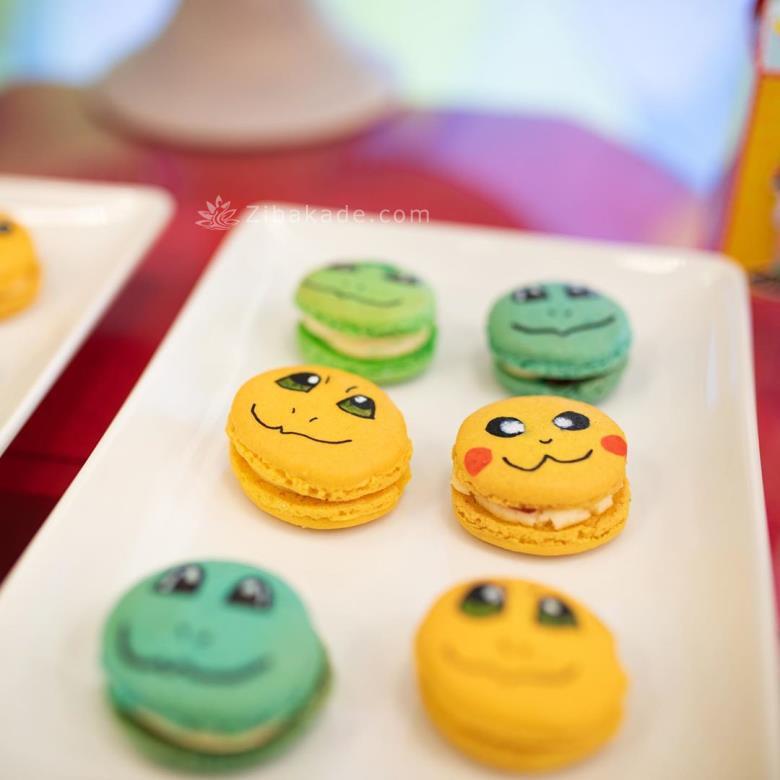 تم تولد پوکمون - Pokémon